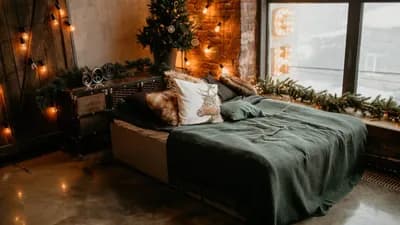 Elite Apartment #498 in Dallas